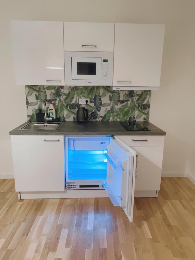 Apartment Helen New Chain Florenc Prag